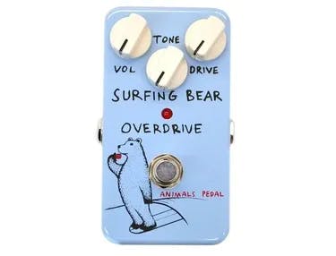 Surfing Bear Overdrive Guitar Pedal By Animals Pedal