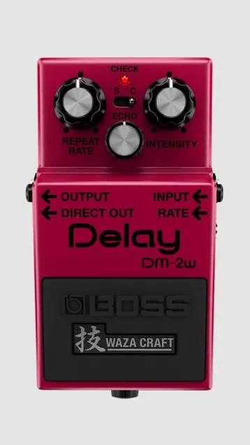 DM-2W Delay Waza Craft Guitar Pedal By BOSS