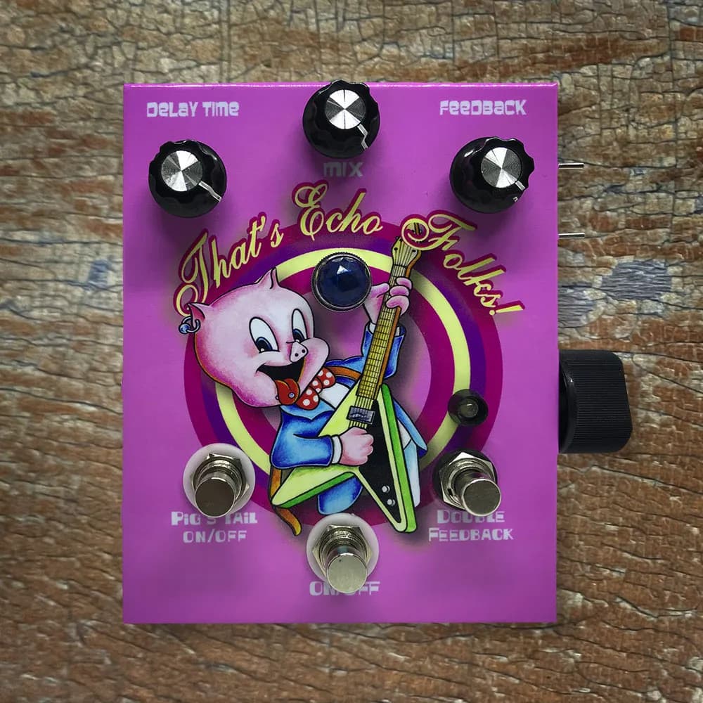 That's Echo Folks Guitar Pedal By MG Music