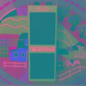 Pedalflanger Guitar Pedal By Tycobrahe
